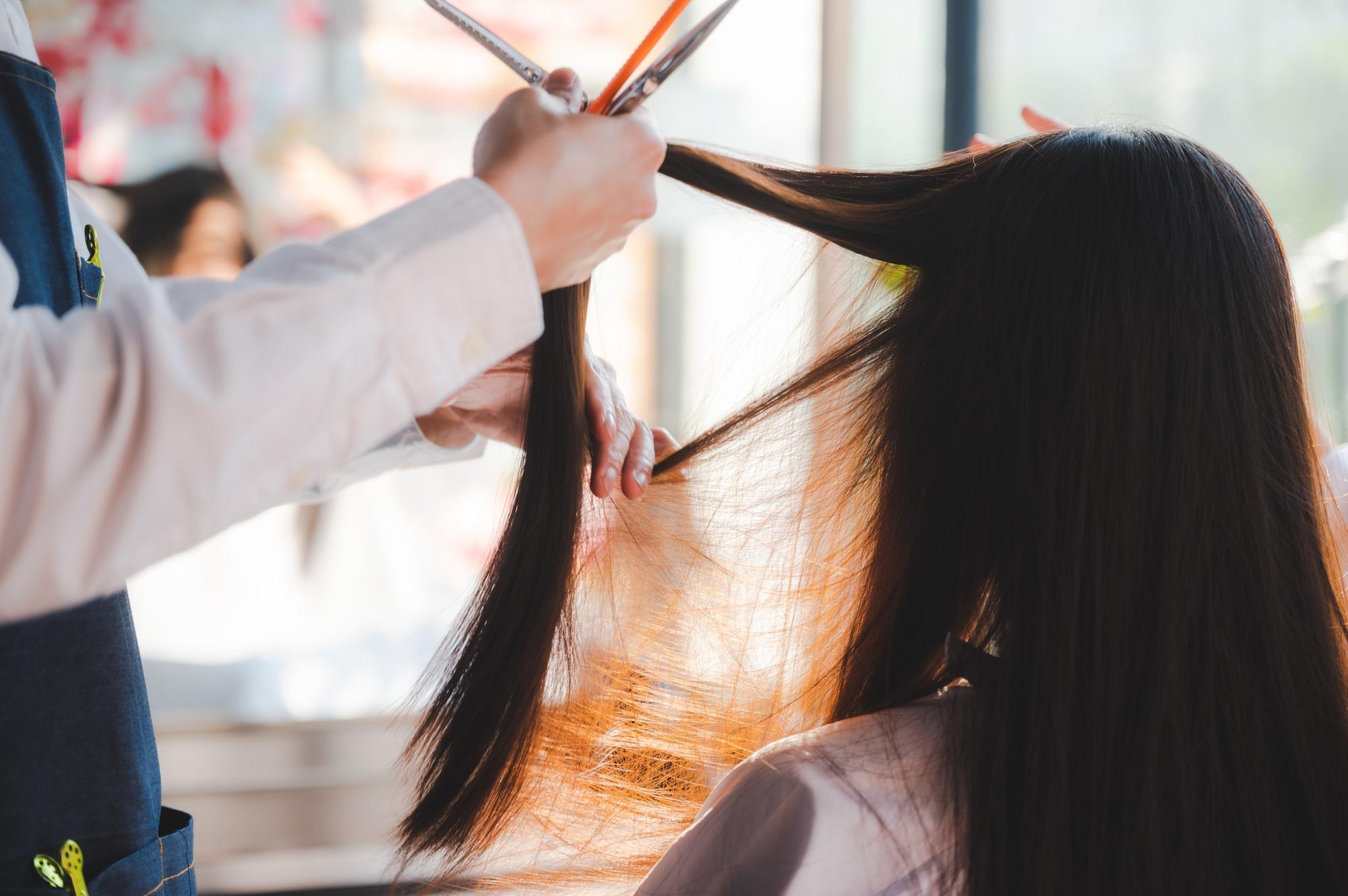 Professional stylist cutting woman's hair in salon, Hairdresser coiffure trimming