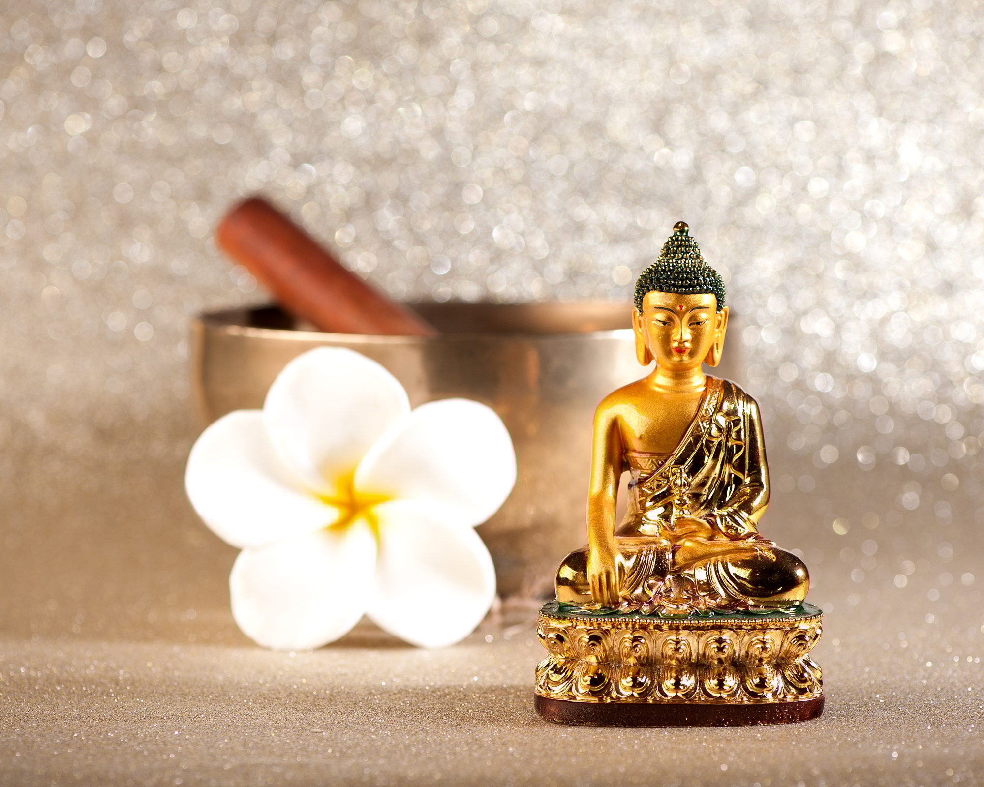Singing Bowl and Buddha statue. meditation concept